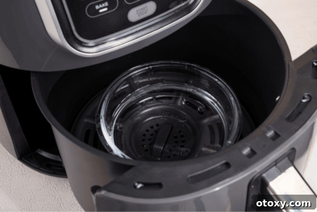 Vinegar & lemon juice in air fryer basket