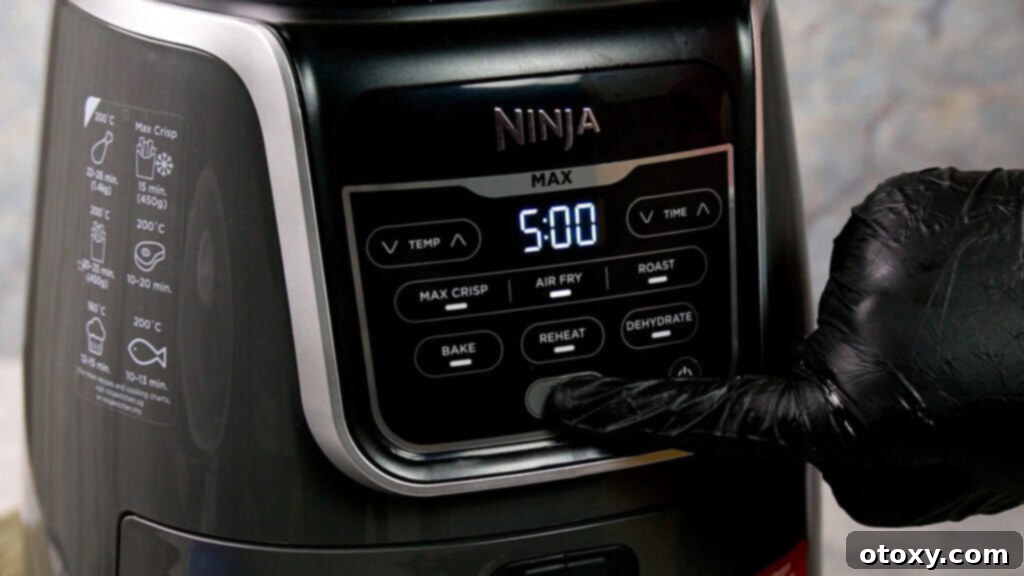 Air fryer ninja foodie max preheating