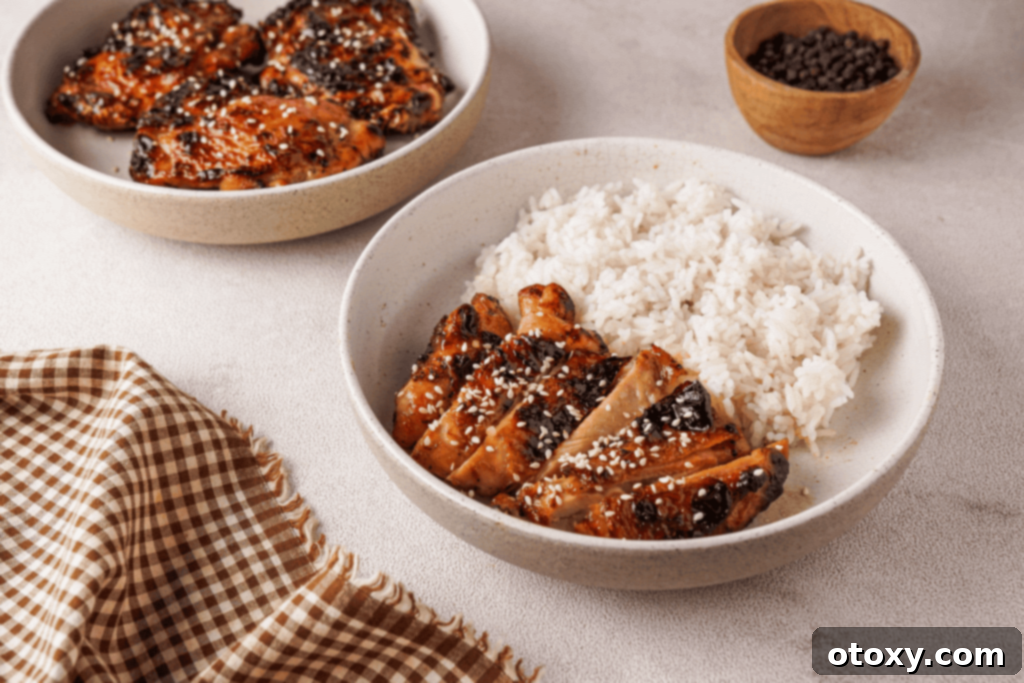 Air fryer chicken teriyaki with rice