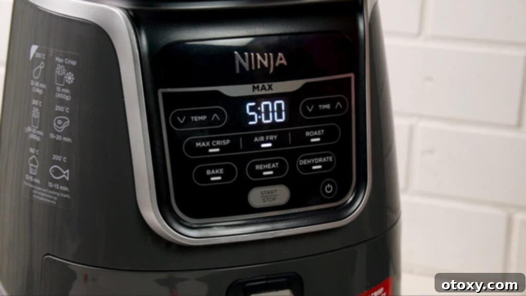 Ninja air fryer