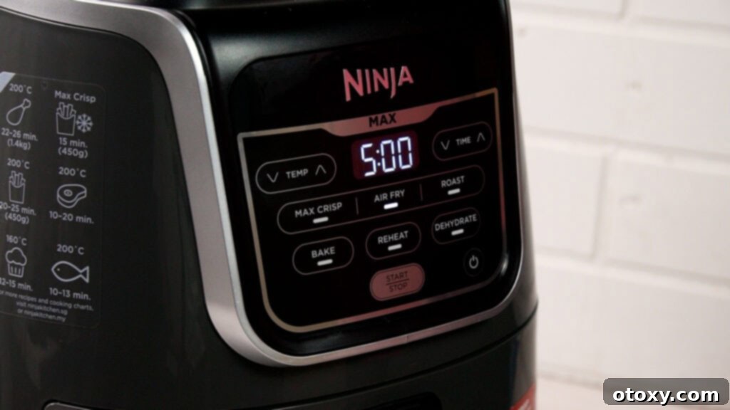 Ninja air fryer