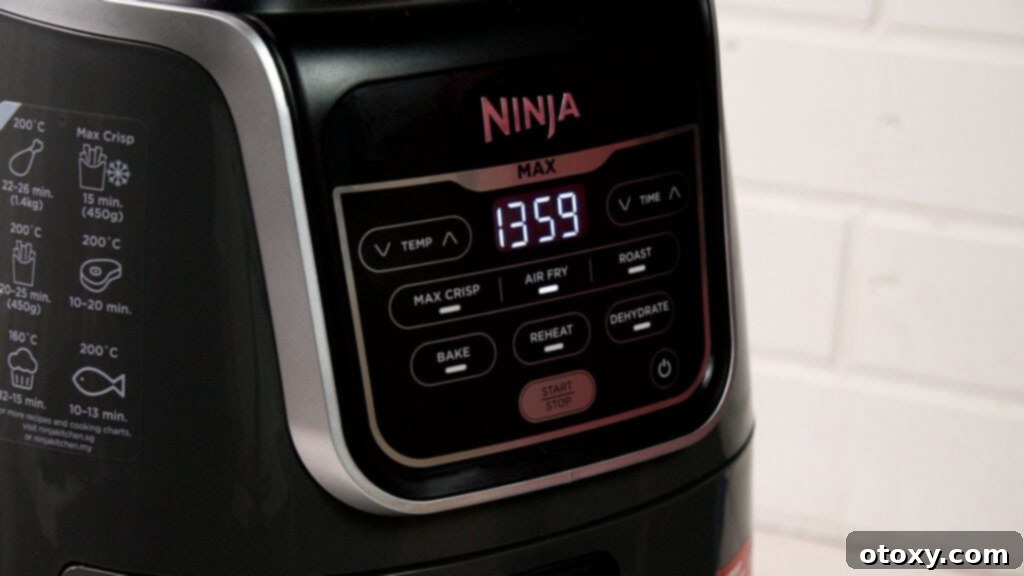 ninja air fryer foodie