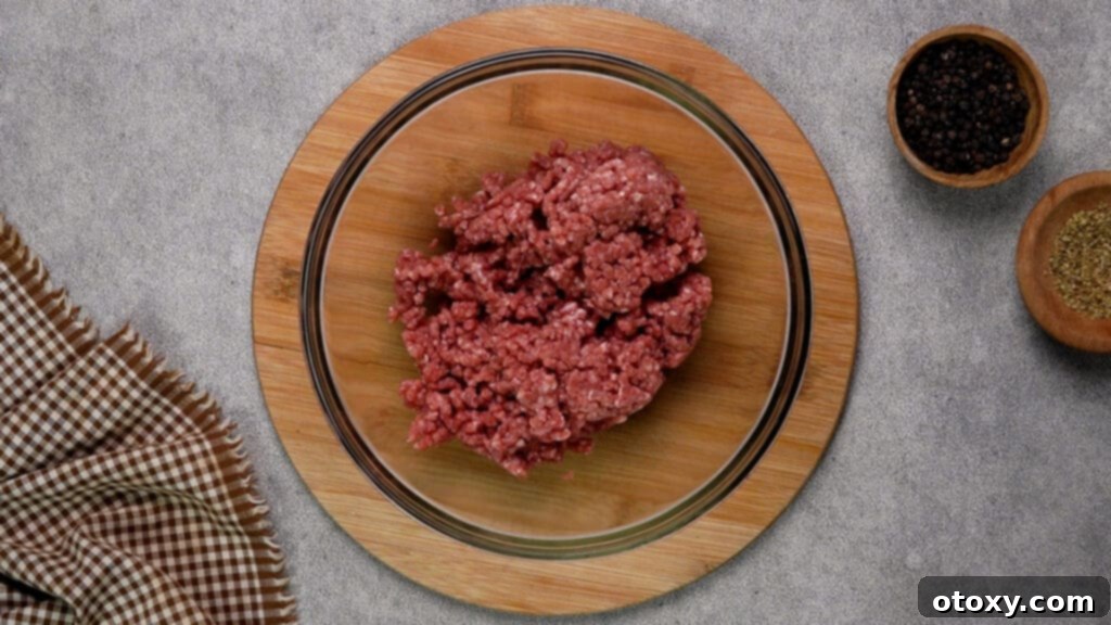 Air Fried Ground Beef Made Simple 6 Ground beef in a large mixing bowl