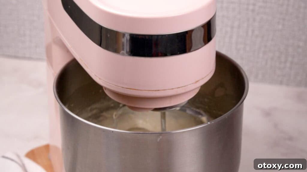 stand mixer