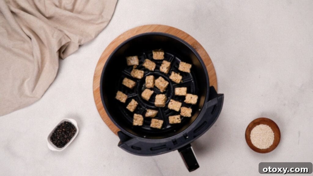 tempeh in air fryer