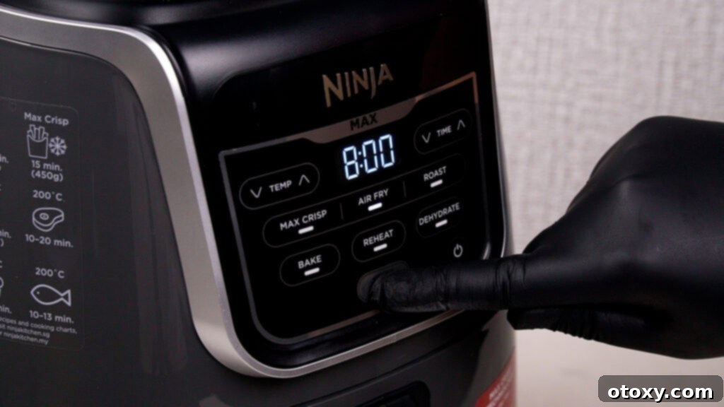 ninja air fryer