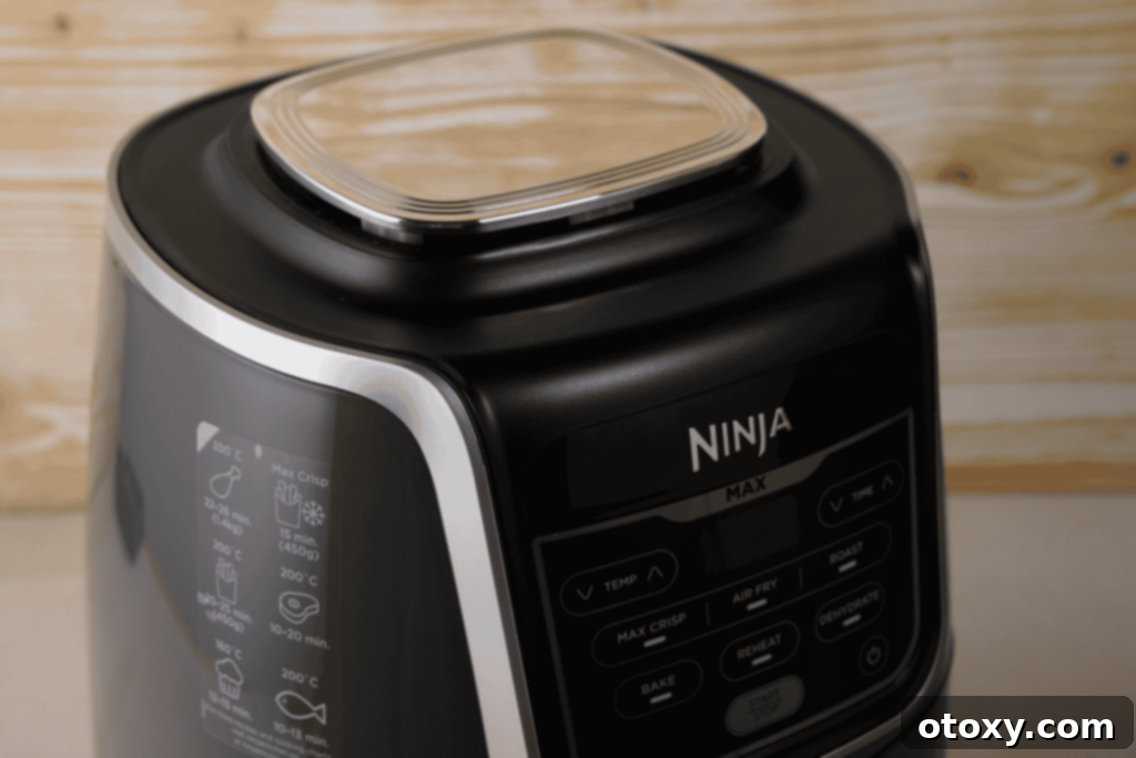 air fryer ninja