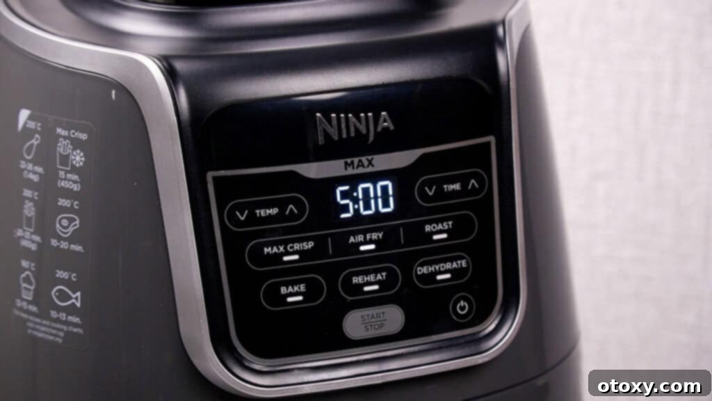 air fryer ninja