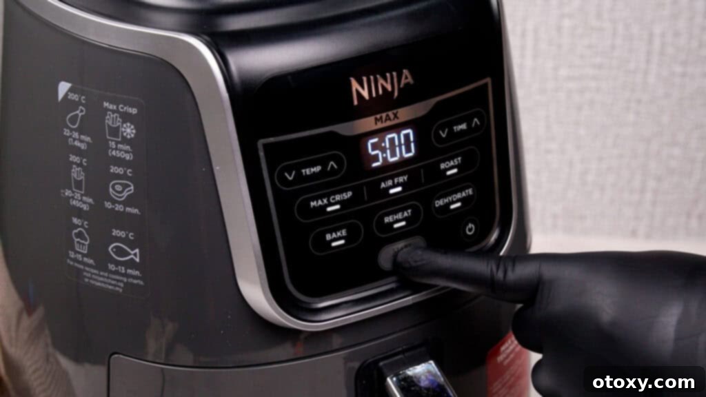 air fryer ninja