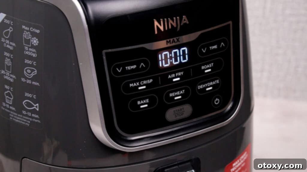 air fryer ninja