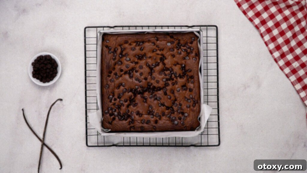 Freshly baked Nutella brownies in the pan