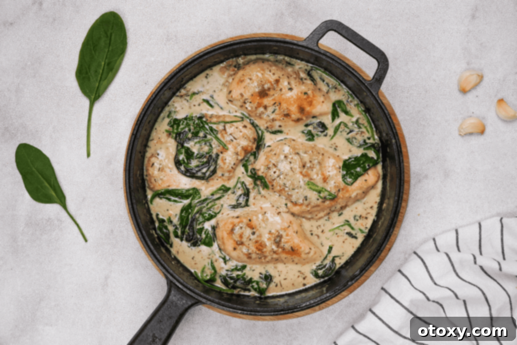 Classic Chicken Florentine dish with creamy spinach sauce and golden chicken