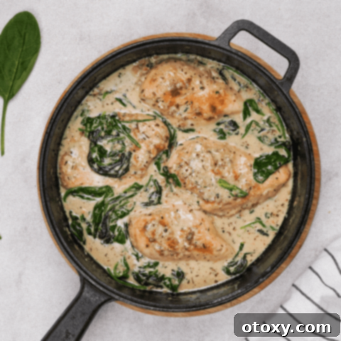 Creamy Chicken Florentine with golden chicken and spinach sauce