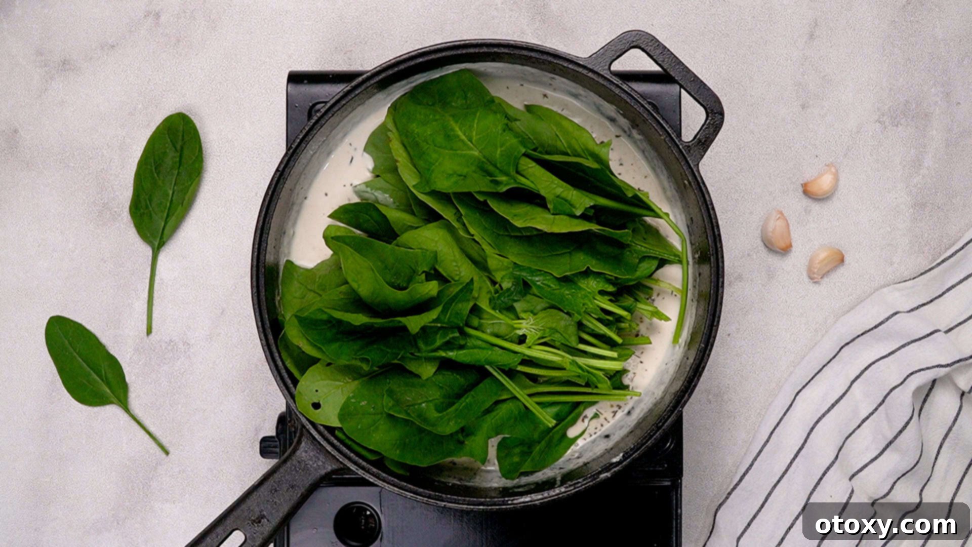 Adding and wilting fresh baby spinach into the cream sauce