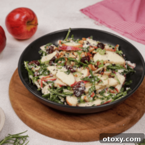 Orchard Fresh Apple Salad 12 Delicious and fresh Apple Salad