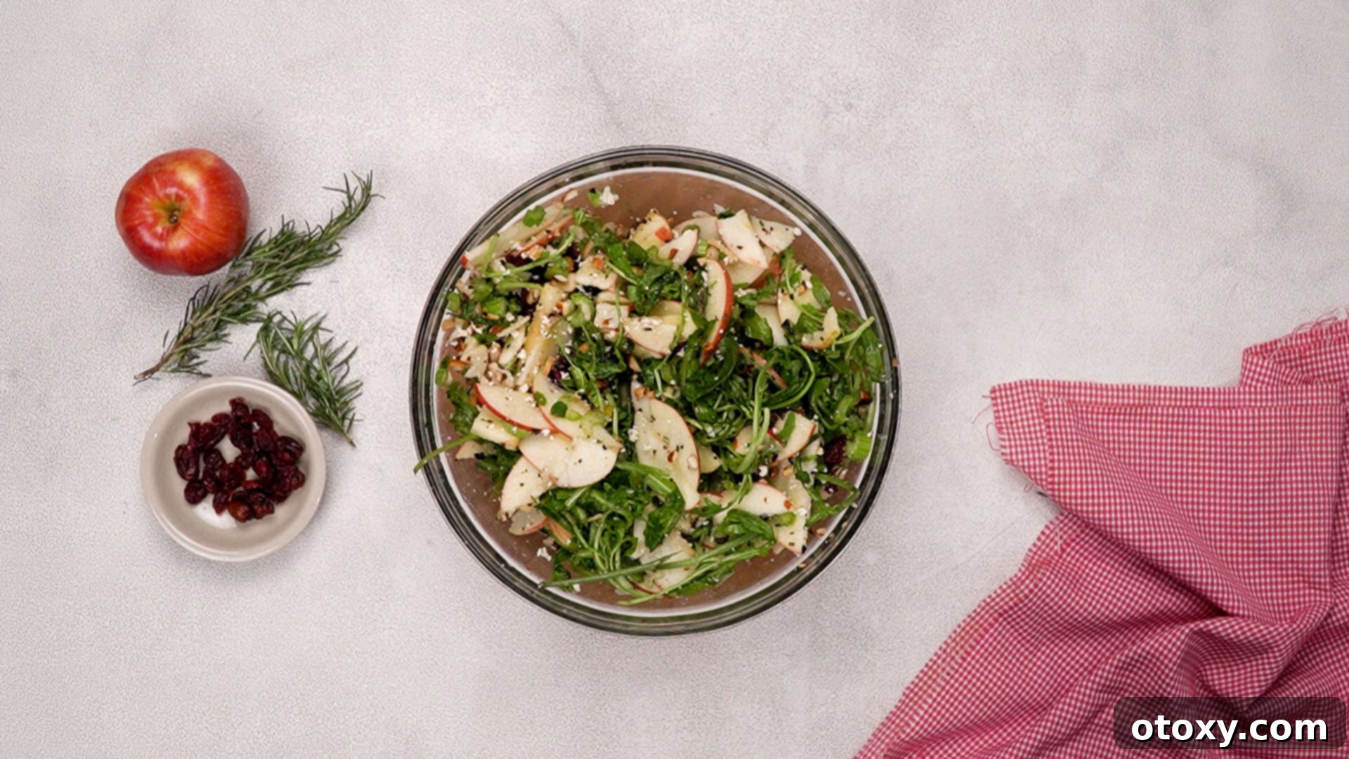 Orchard Fresh Apple Salad 16 Colorful apple salad ingredients