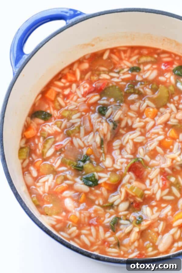A steaming bowl of Italian vegetable orzo soup in a rustic blue-rimmed Dutch oven, garnished with fresh herbs and a swirl of olive oil, ready to be served.
