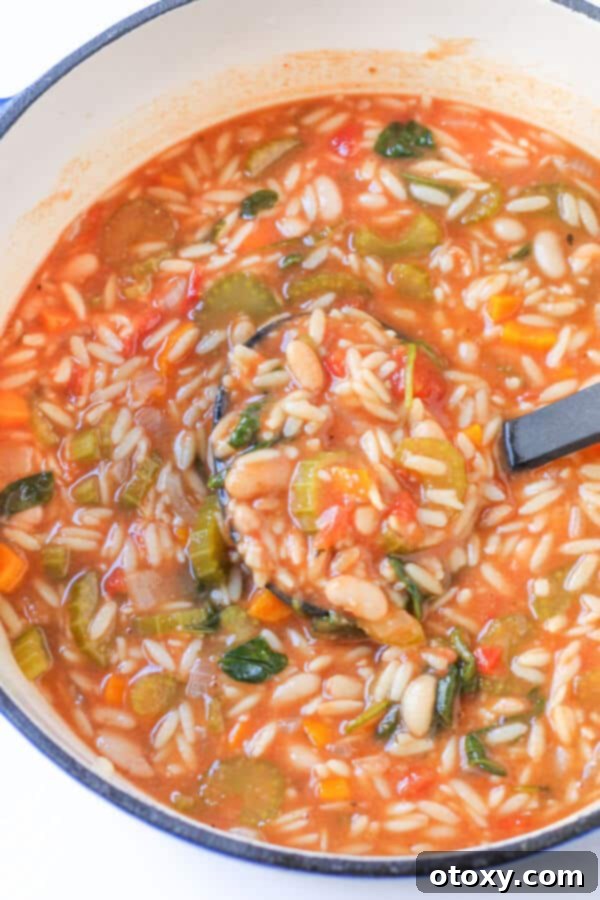 A vibrant bowl of Italian vegetable orzo soup, garnished with fresh herbs, ready to be enjoyed, highlighting its comforting appeal.