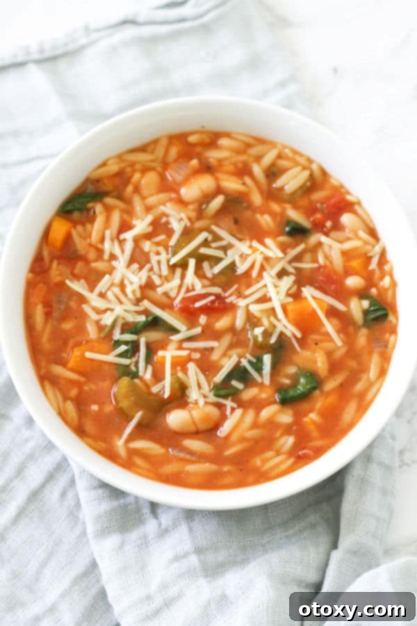 A close-up shot of Italian vegetable orzo soup in a white ceramic bowl placed on a textured grey napkin, showcasing the texture and steam.
