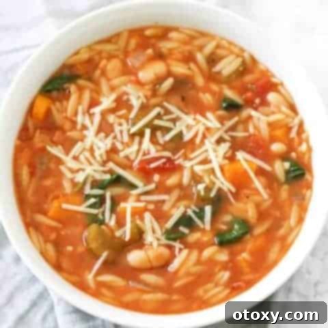 Vegetable Orzo Soup