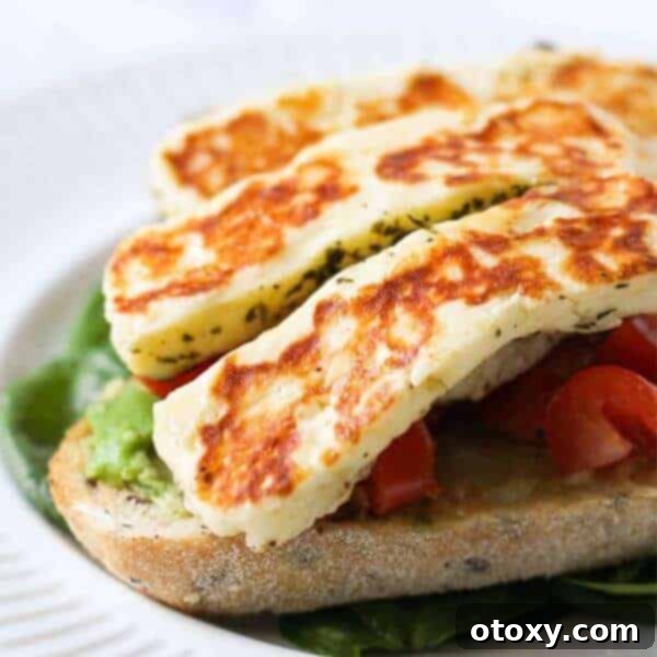 Grilled Halloumi cheese slices with herbs