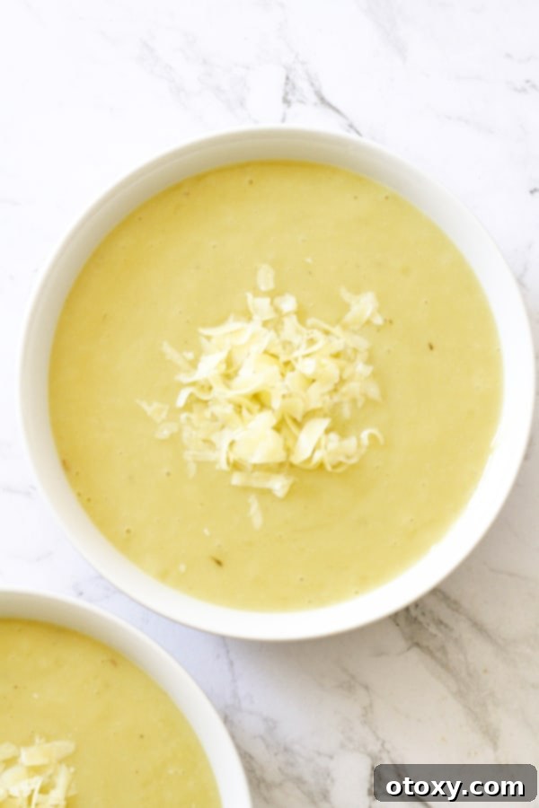 A beautifully presented bowl of Potato and Leek Soup, garnished with shredded cheddar cheese, ready to be savored.