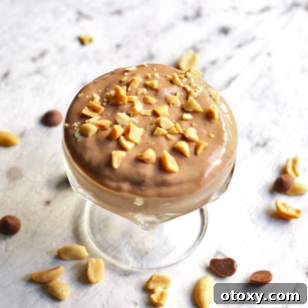 A bowl of freshly blended Snickers Nice Cream, ready to be enjoyed or topped.