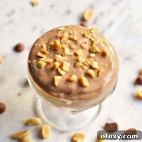 Snickers Nice Cream: A creamy, chocolatey, peanut butter treat in a bowl.