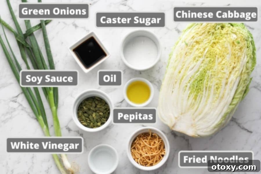 Ingredients for cabbage salad including soy sauce, olive oil, and a packet of fried noodles.