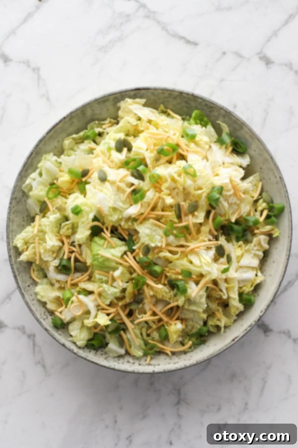 A vibrant bowl of cabbage and crunchy noodle salad ready to be served.
