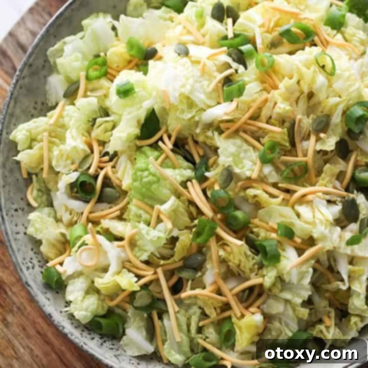 A large grey bowl of cabbage and crunchy noodle salad, perfectly tossed and ready to serve.