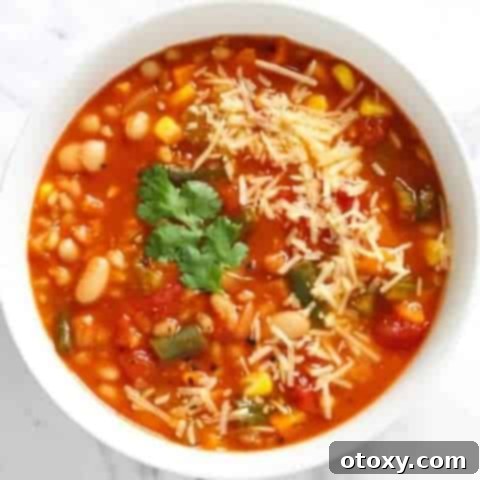 vegetable barley soup topped with parmesan cheese and coriander