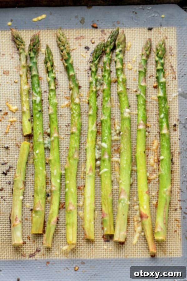 cooked asparagus spears laid out in a single layer on a baking tray covered in parmesan cheese and minced garlic