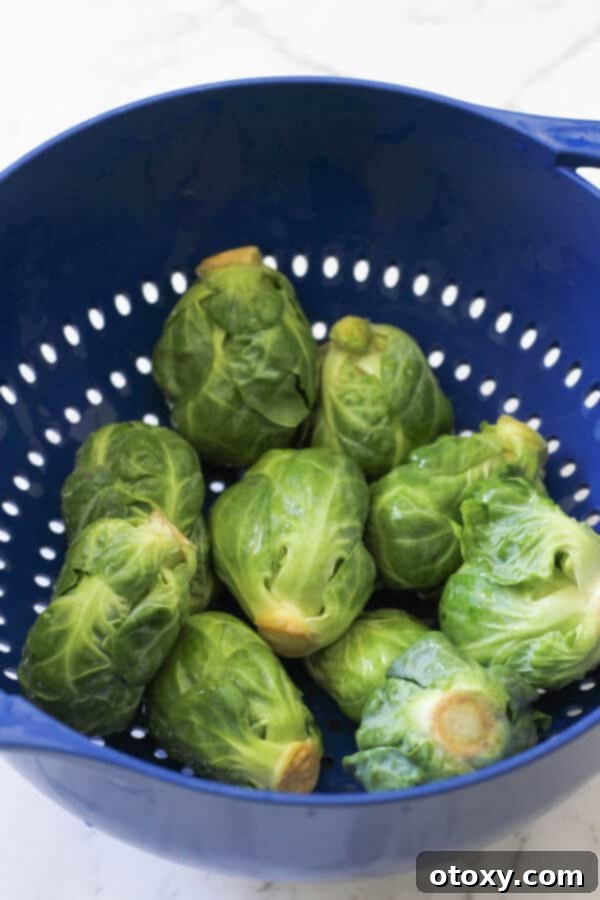 freshly rinsed whole brussels sprouts sitting in a colander