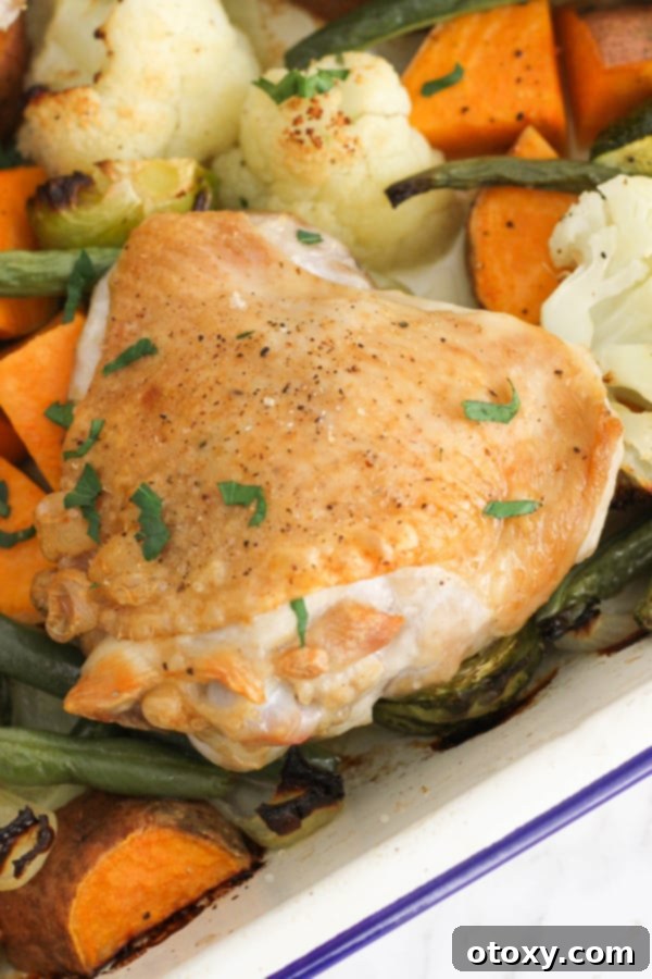 Sheet Pan Golden Chicken Thighs with Roasted Vegetables 10 A baking tray filled with crispy chicken thighs and a colorful assortment of roasted vegetables, ready to be served family style.