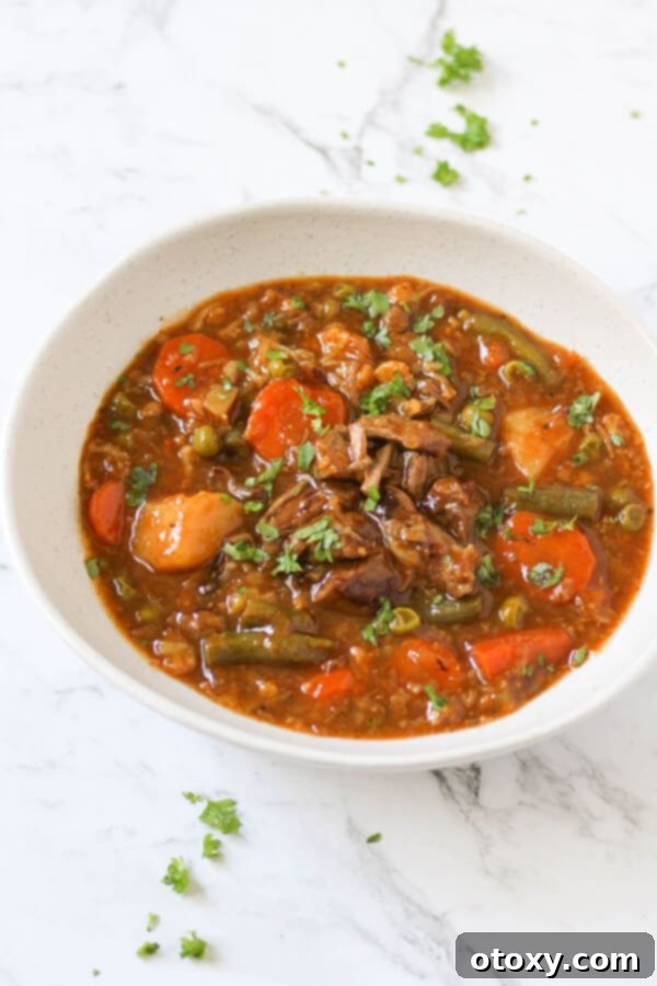 Rustic Beef and Garden Stew 2 A rich, slow-cooked beef and vegetable stew in a white bowl, garnished with fresh herbs