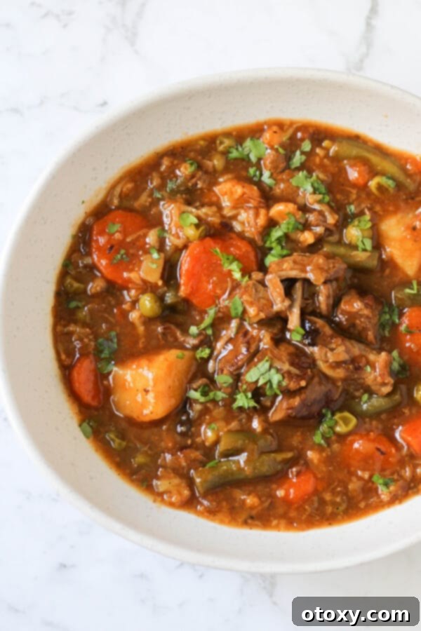 Rustic Beef and Garden Stew 4 A close-up shot of a steaming bowl of tender beef and vegetable stew, ready to be enjoyed