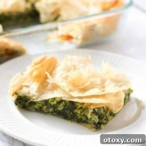 A vibrant slice of Spanakopita presented on a clean white plate, ready to be enjoyed.
