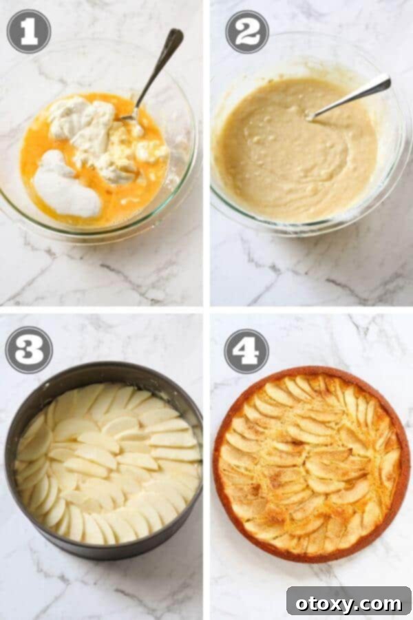 step by step photo instructions on how to make apple cake.