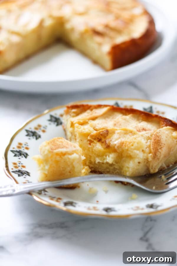 a slice of apple cake on a decorative plate.