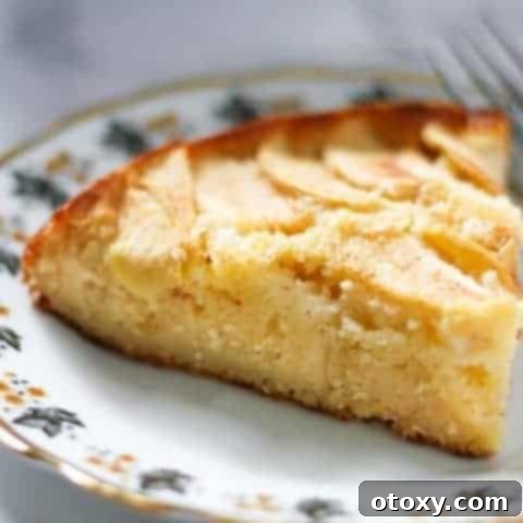 a slice of apple cake on a decorative plate.