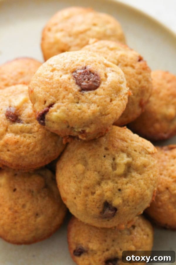 mini banana and choc chip muffins stacked on a plate.