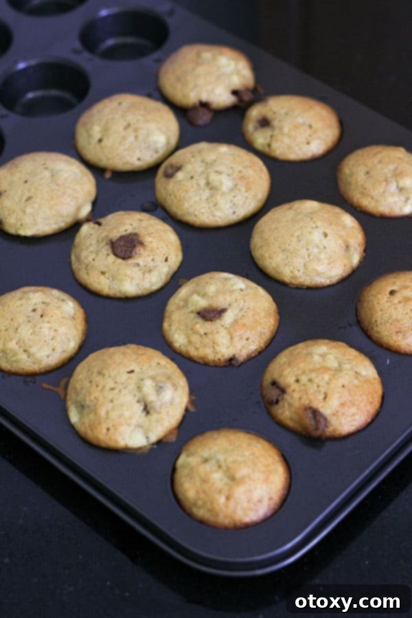 mini muffins in a muffin tray.