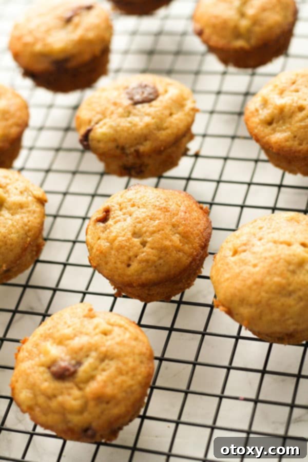 mini muffins on a wire rack.