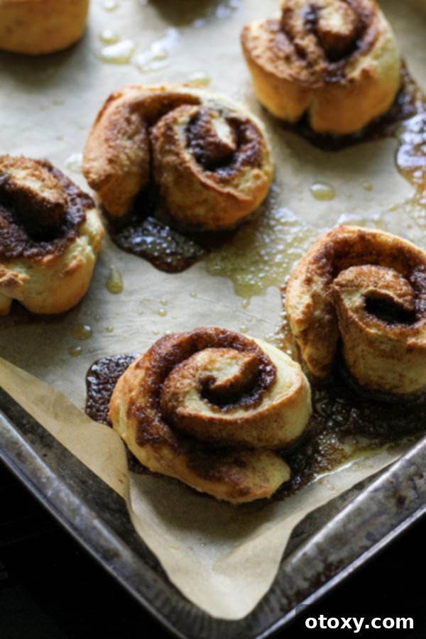 Effortless No Yeast Cinnamon Rolls Baked or Air Fried 12 A batch of golden-brown cinnamon rolls fresh out of the oven, still on the baking tray.