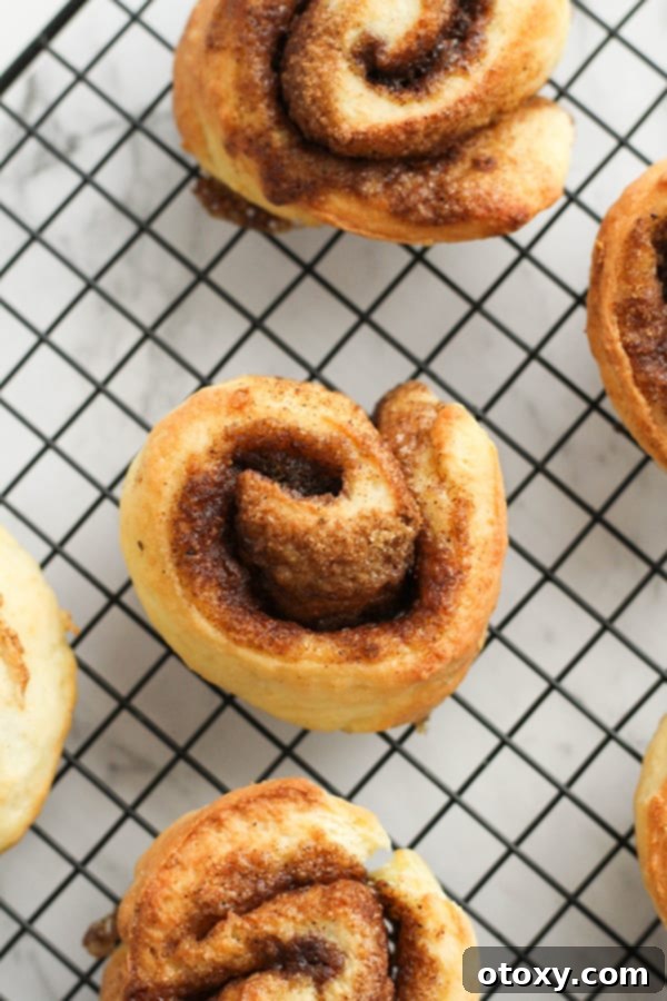 A batch of baked no-yeast cinnamon rolls cooling on a wire rack.