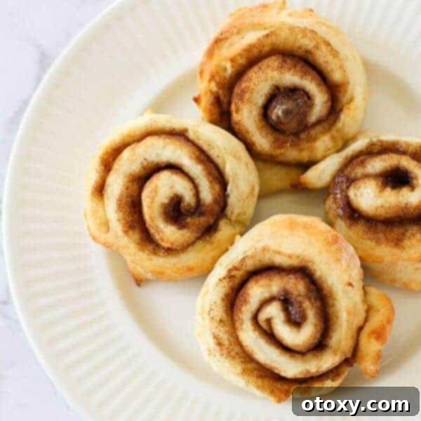 Homemade cinnamon rolls, fluffy and light with a rich cinnamon swirl, ready to be enjoyed without the need for icing.