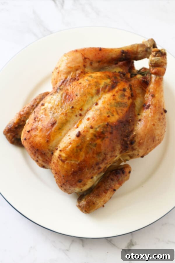 A beautifully roasted whole chicken, golden-brown and glistening, presented on a pristine white plate, garnished with fresh rosemary sprigs and lemon slices. The crispy skin promises a delightful crunch.