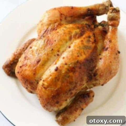 Whole roast chicken on a white plate.