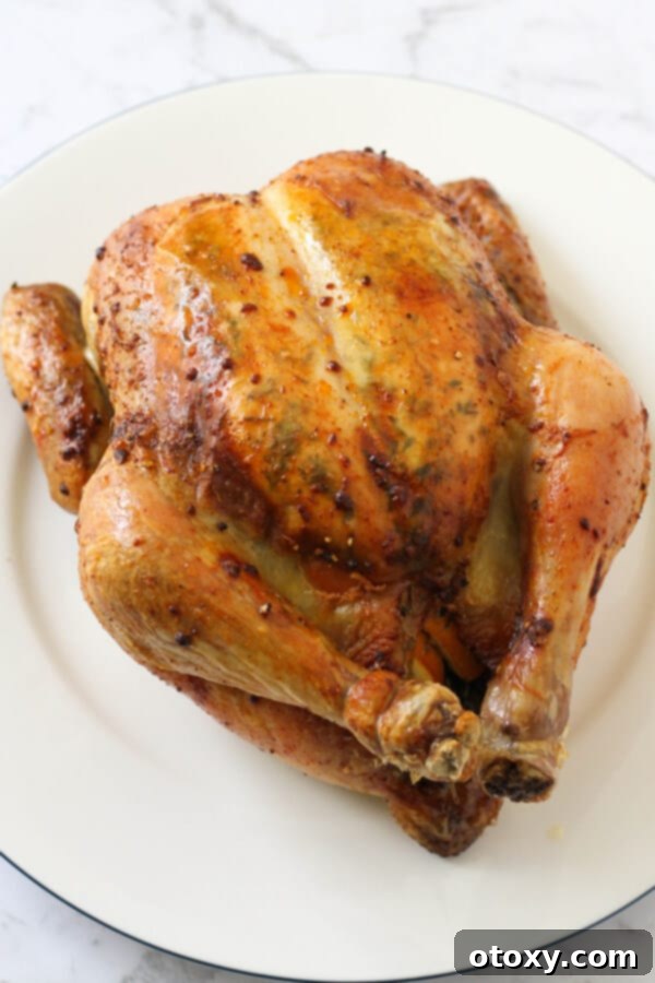 Another view of the perfectly roasted whole chicken, showing its golden-brown, crispy skin and the inviting presentation on a white plate. Fresh herbs and lemon add to its visual appeal.